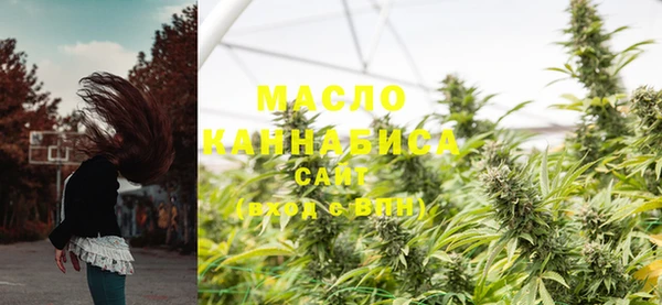тгк Володарск