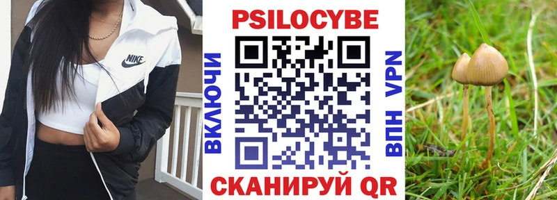 Псилоцибиновые грибы MAGIC MUSHROOMS  Череповец 